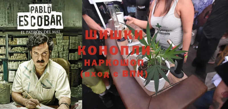 Канабис OG Kush  продажа наркотиков  Данилов 